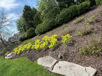 Entranceway Fountain