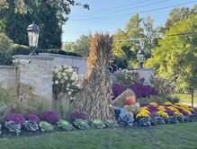 Entrance in the fall